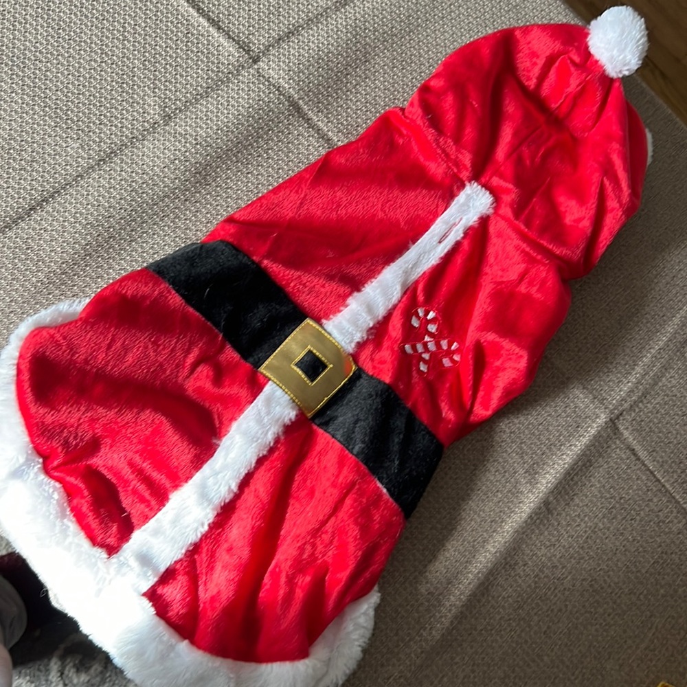 🎁NWT🎁 Puppy Santa Suit